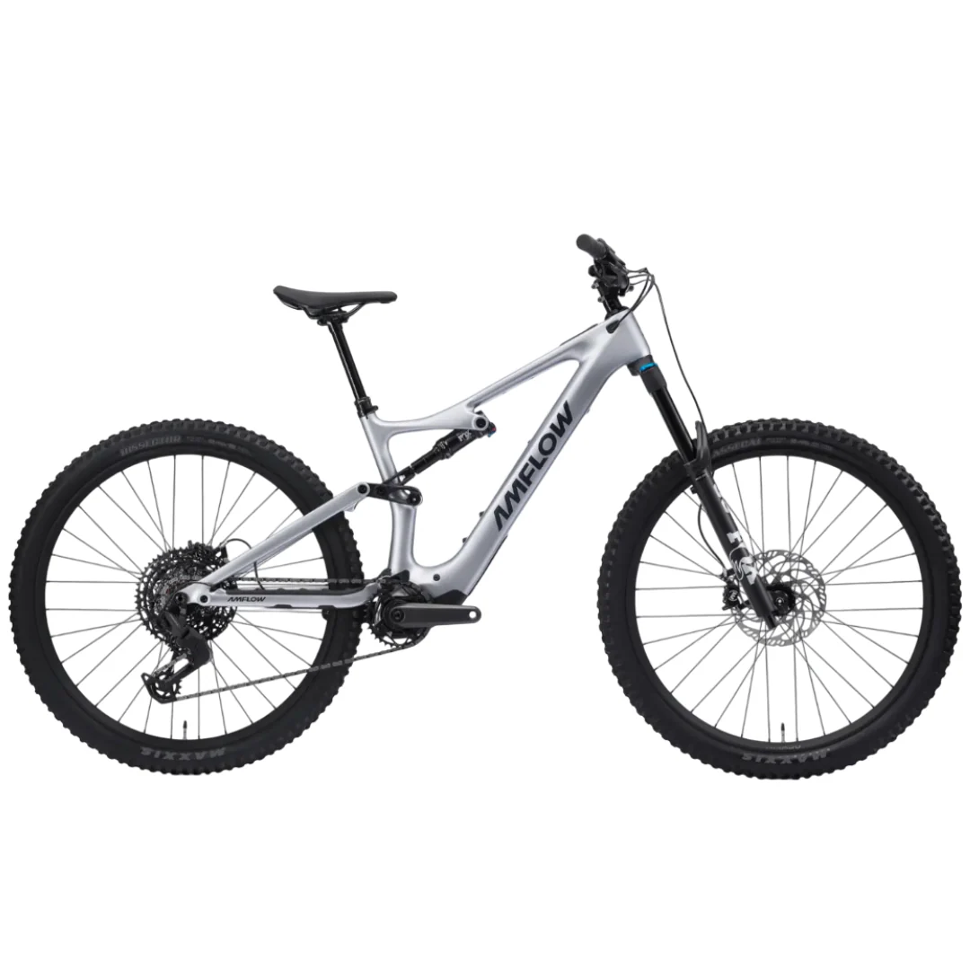 Bicicletta Amflow PL Carbon - Argento