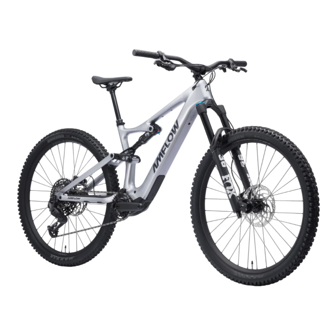 Bicicletta Amflow PL Carbon - Argento - Image 2