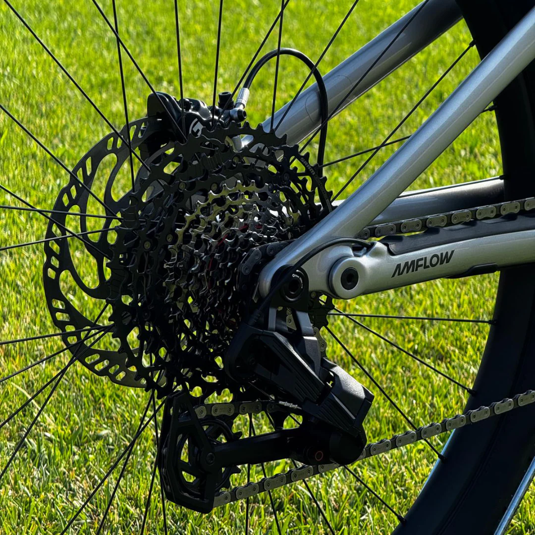 Bicicletta Amflow PL Carbon - Argento - Image 5