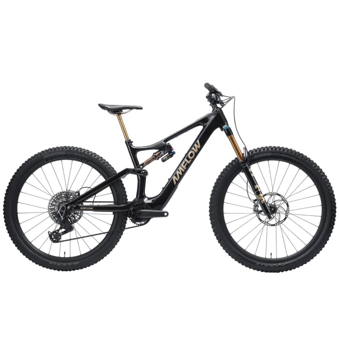 Bicicletta Amflow PL Carbon Pro - Nero