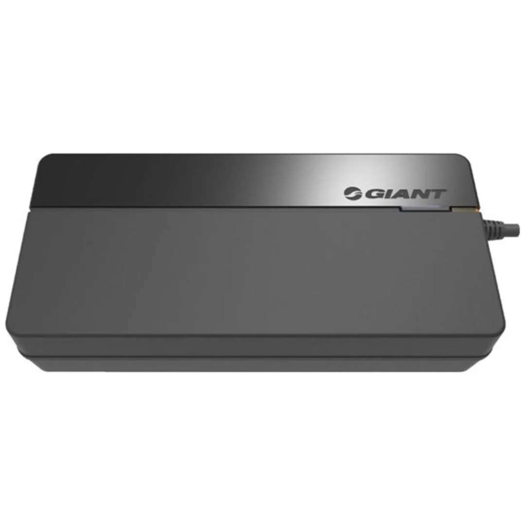Caricatore Smart Charger G-System per EnergyPak 6A