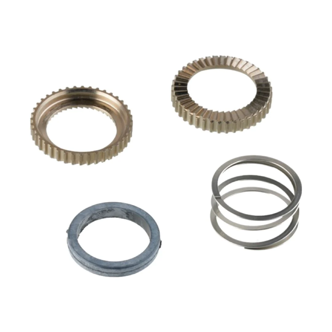 Kit Cricchetti di Ricambio 24T con Molla e Grasso per Mozzi e Corpetti ID360 MTB