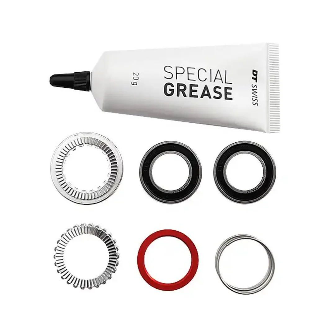 Kit Manutenzione DT Swiss Ratchet 54D EXP 240 + Grasso 20g