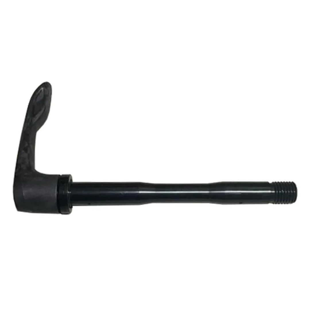 Perno Passante Giant 12x100 1519-QRGA19-0003