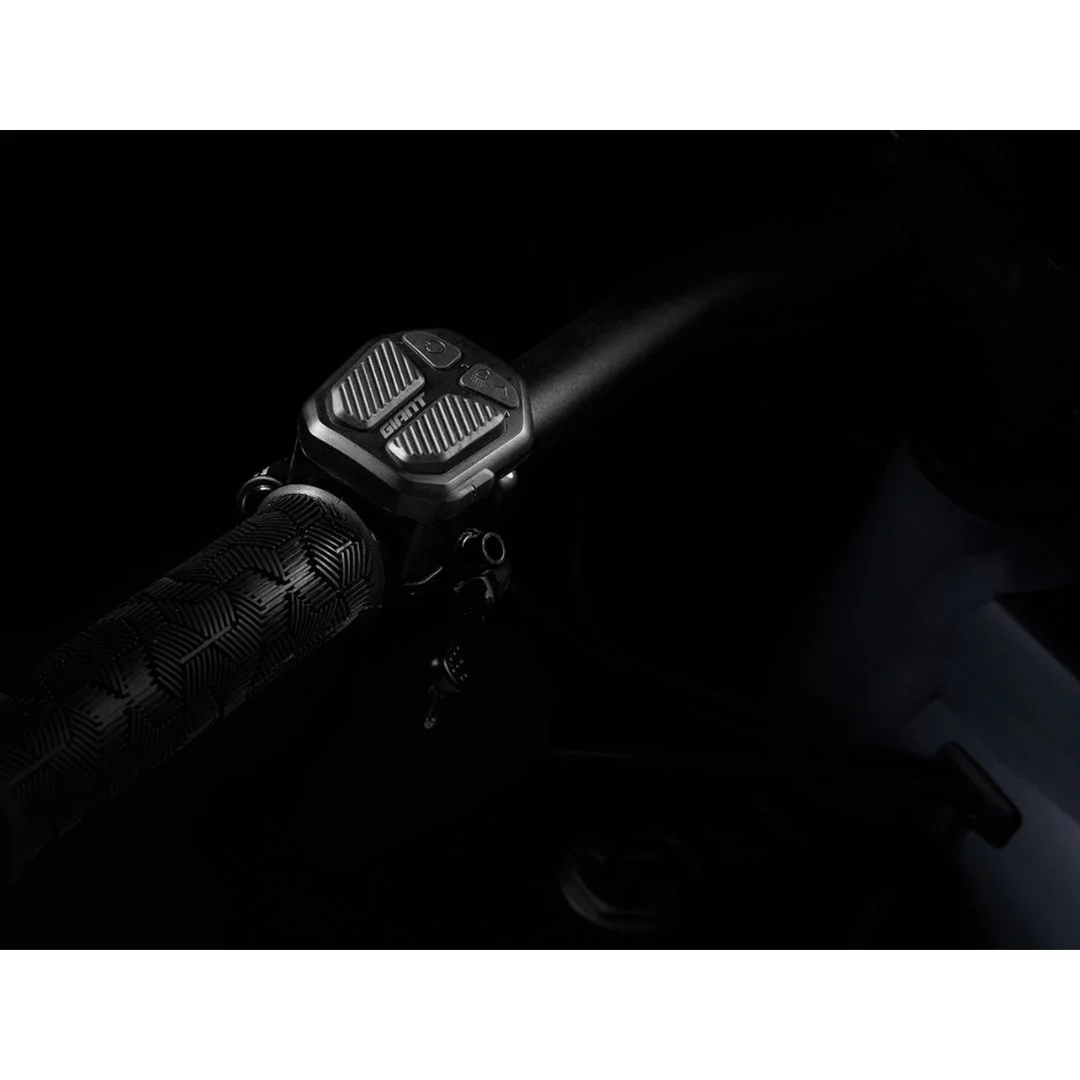 Comando e-Bike RideControl Ergo - Image 2