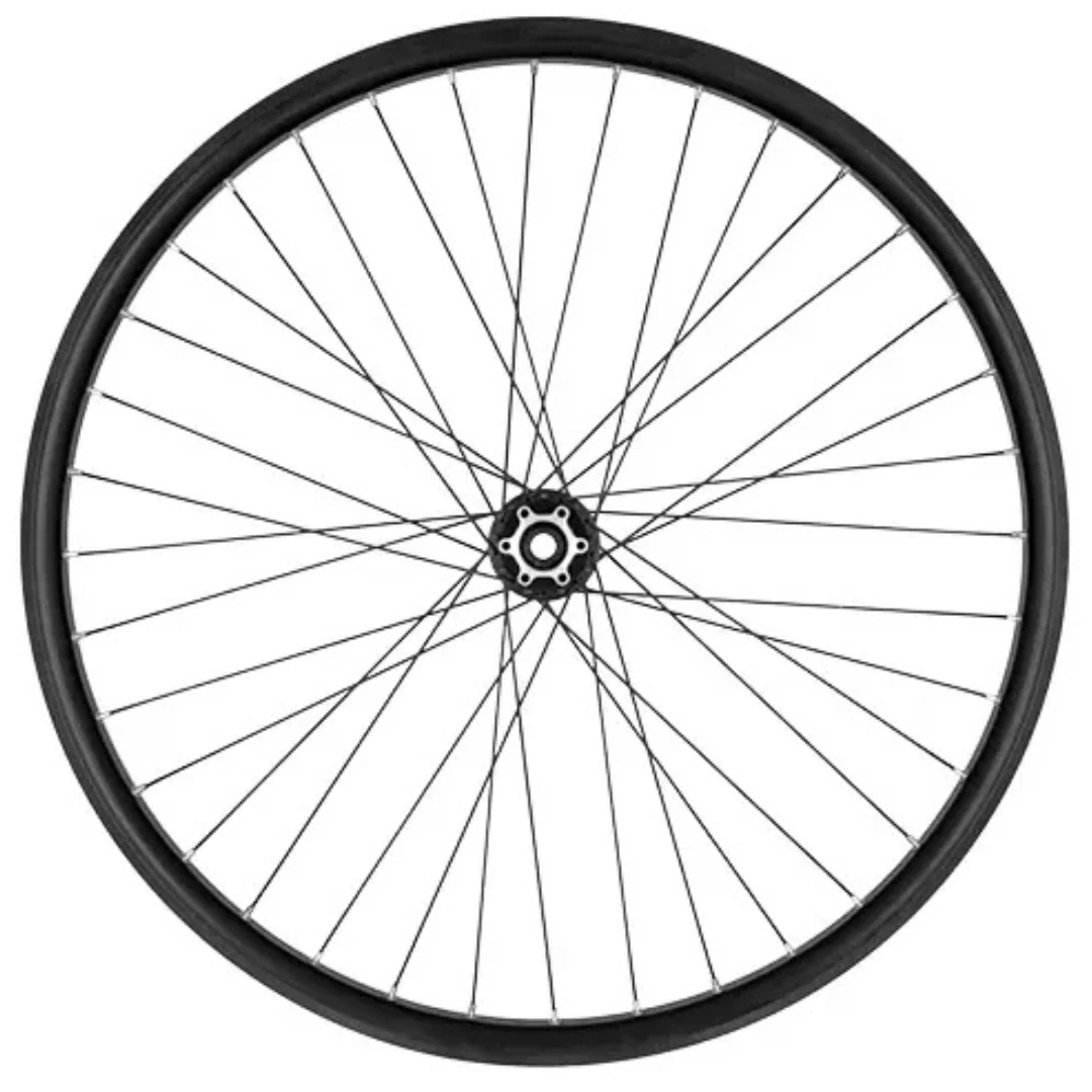 Ruota Anteriore 29" MTB Disco TLR Canale Interno 30mm