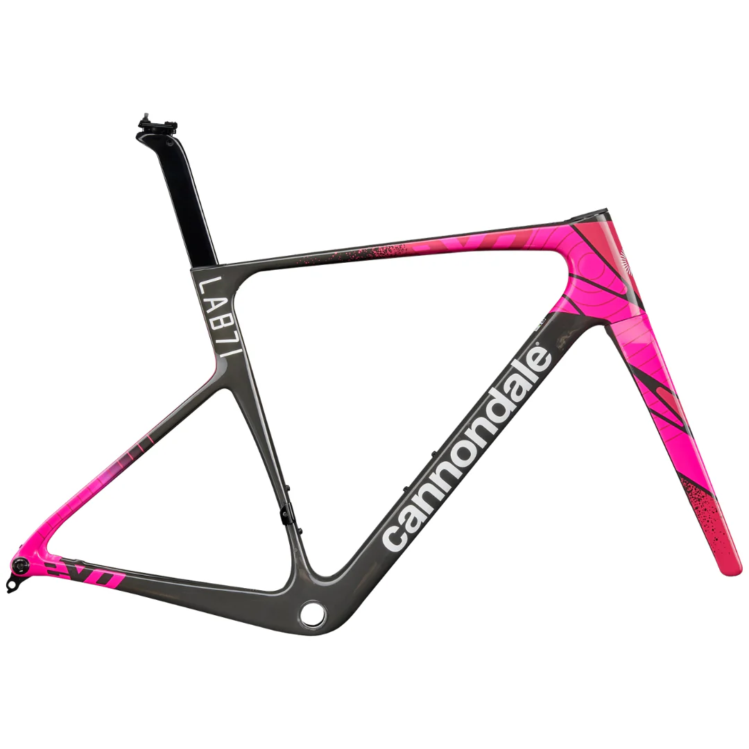 Telaio Cannondale SuperSix EVO LAB71 - EF Pro Cycling Team Replica