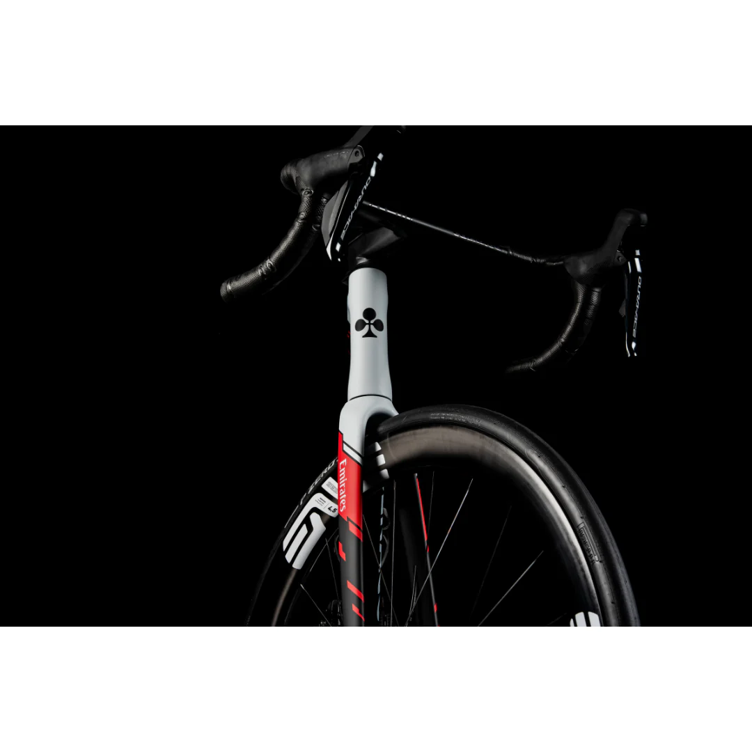 Telaio Colnago V5Rs - UAE Team Emirates XRG 2026 - Image 4