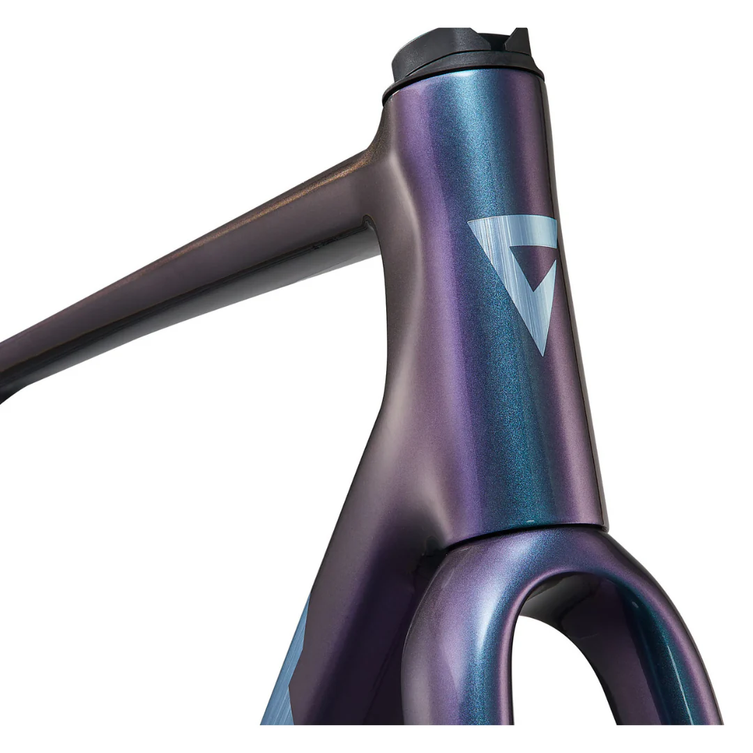 Telaio Giant TCR Advanced Pro - Blu - Image 4