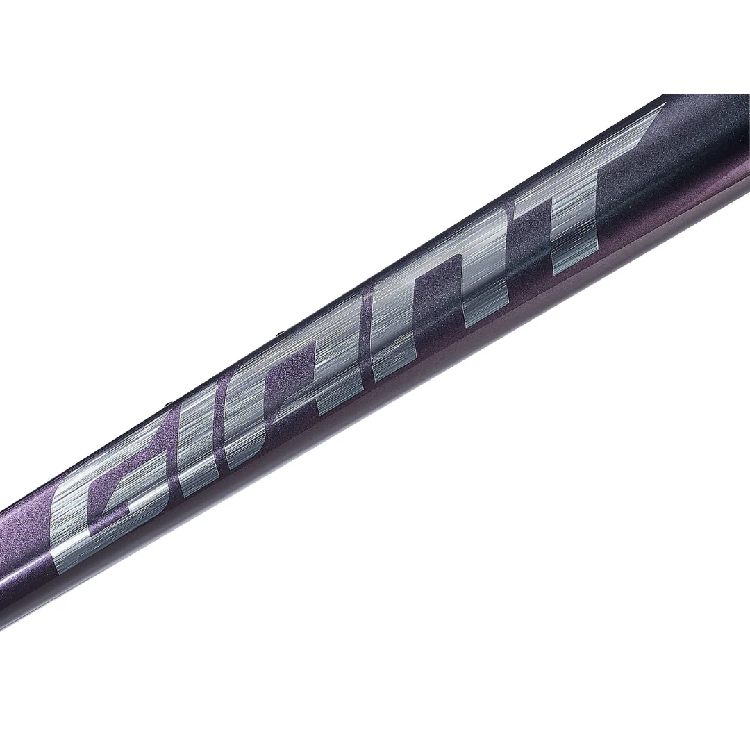 Telaio Giant TCR Advanced Pro - Blu - Image 5