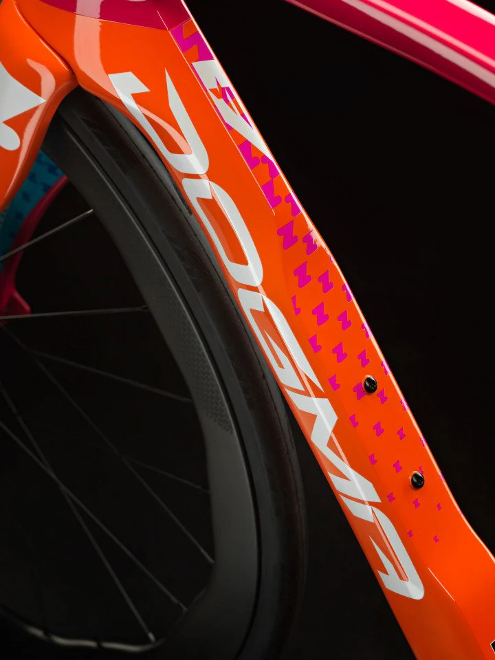 Telaio Pinarello New Dogma F - Zwift - Image 4