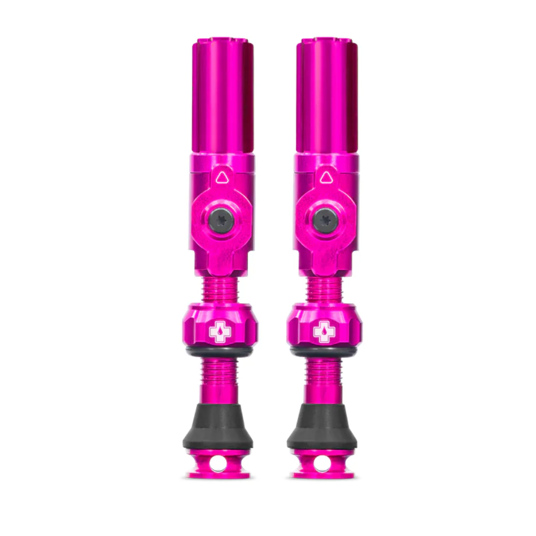 Valvola Tubeless Big Bore Lite Medium 35mm 1 Coppia - Rosa
