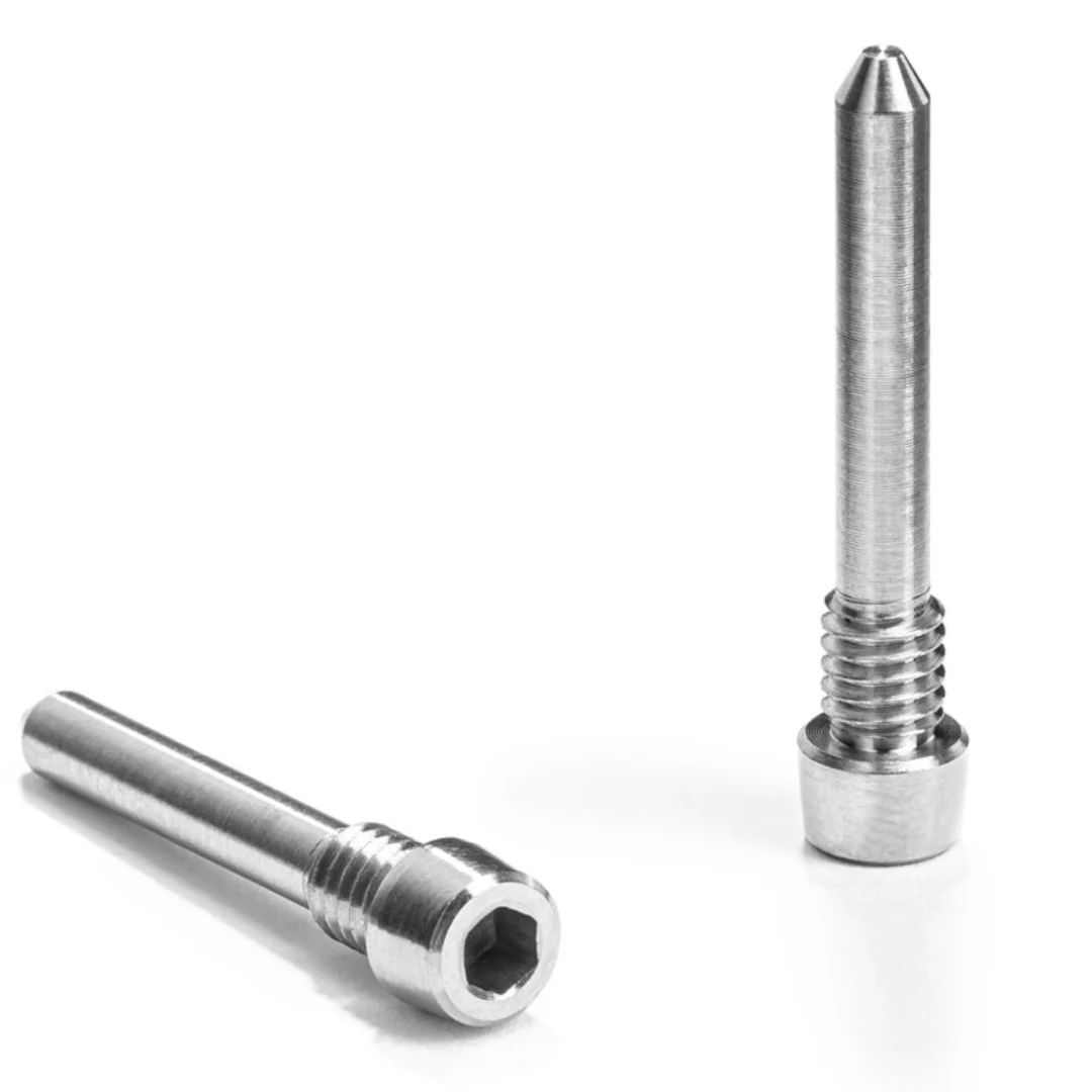 Vite Absolute Black Titanio per Fissaggio Pastiglie Freno a Disco Shimano Road 23mm (2 Pezzi) - Grigio
