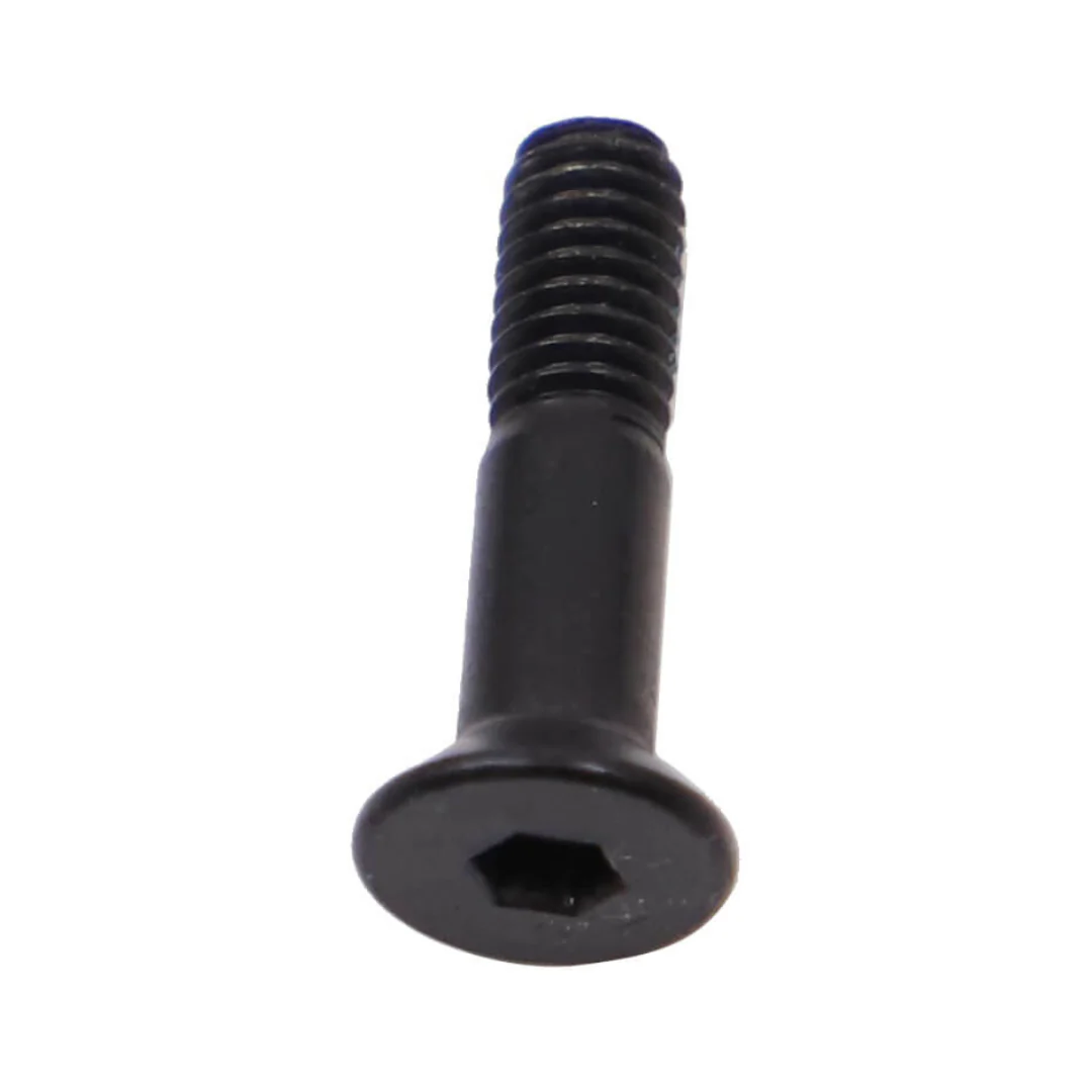 Vite Adattatore Chain Guide (M4x15) Amflow